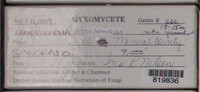 Image Associated With the Occurence